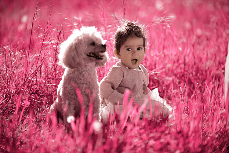 ΡΟΜΑΝΤΙΚΗ ΒΑΠΤΙΣΗ ΣΤΑ ΙΩΑΝΝΙΝΑ